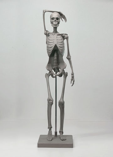 Fixed Armature Skeleton with Base for corch workshop